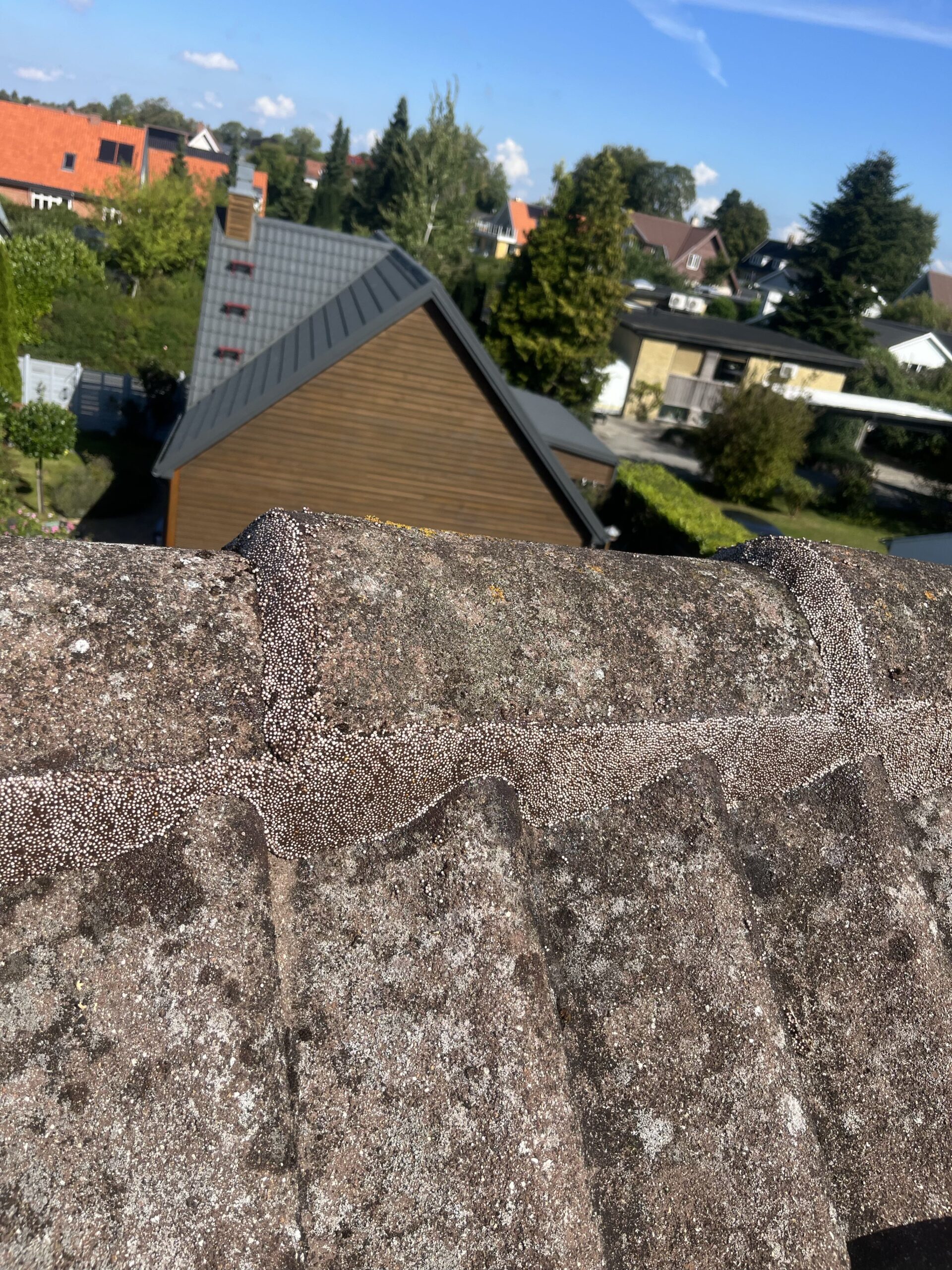 Udskiftning af rufakit langs tagrygning