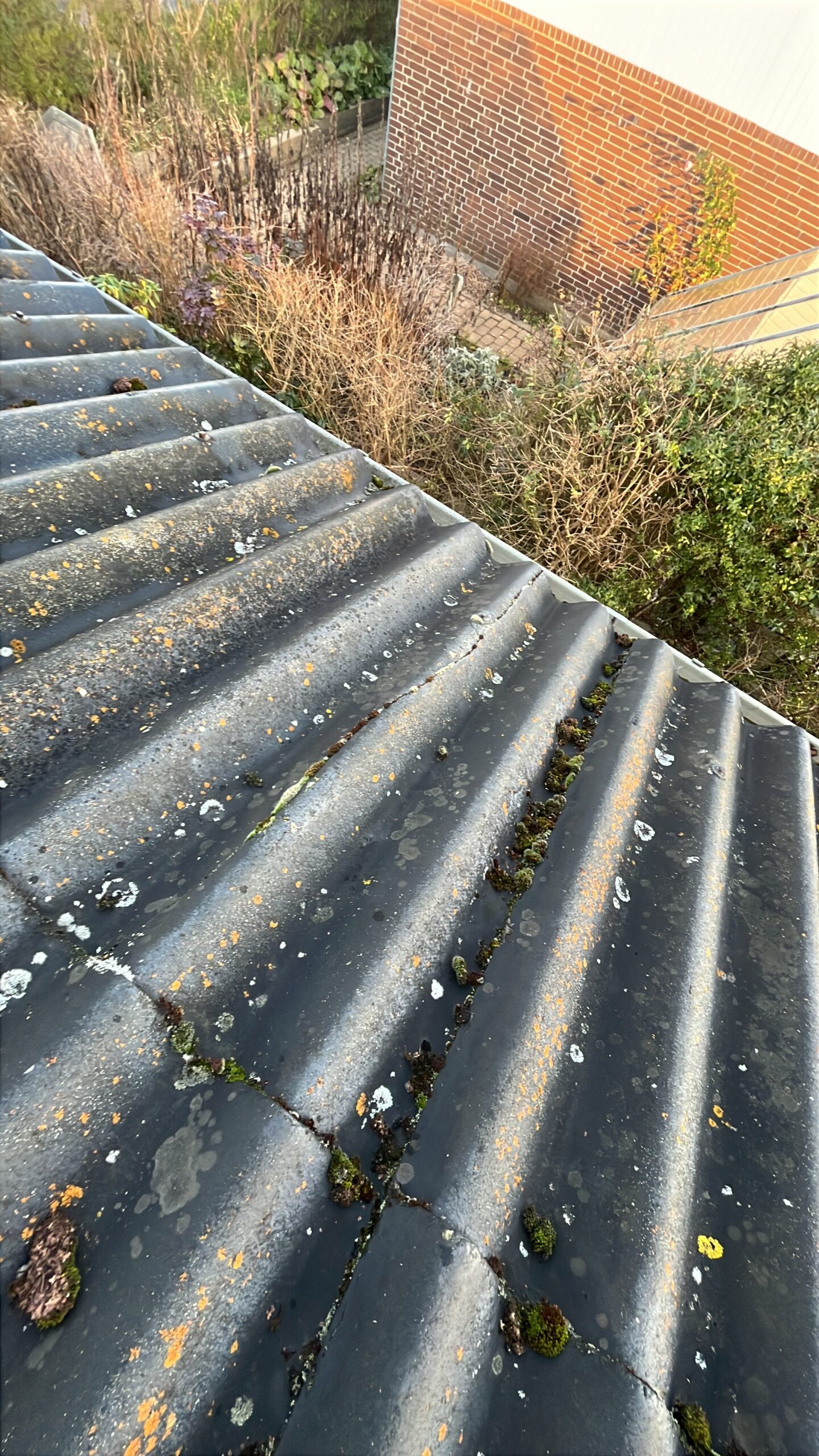 Captured with VisionCamera by mrousavy Revne i plade pga. mosvækst tagreparation din mester -tagservice ApS